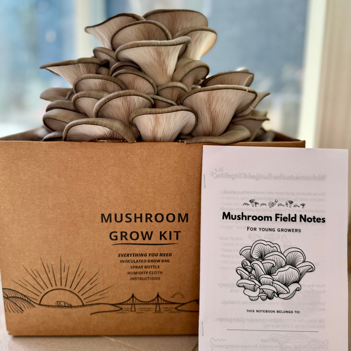 Mushroom Grow Kits