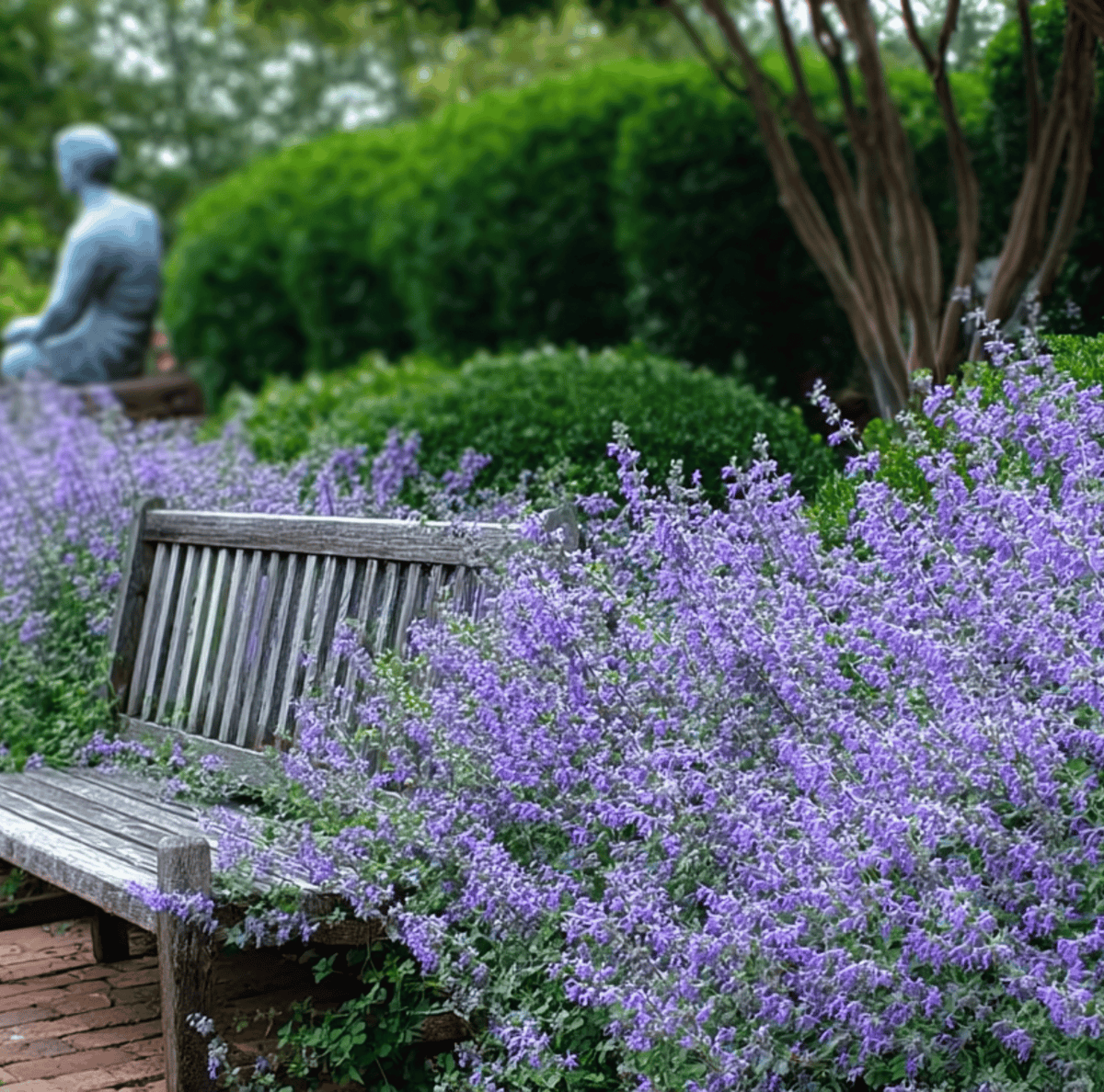 Catmint – 100 Seeds